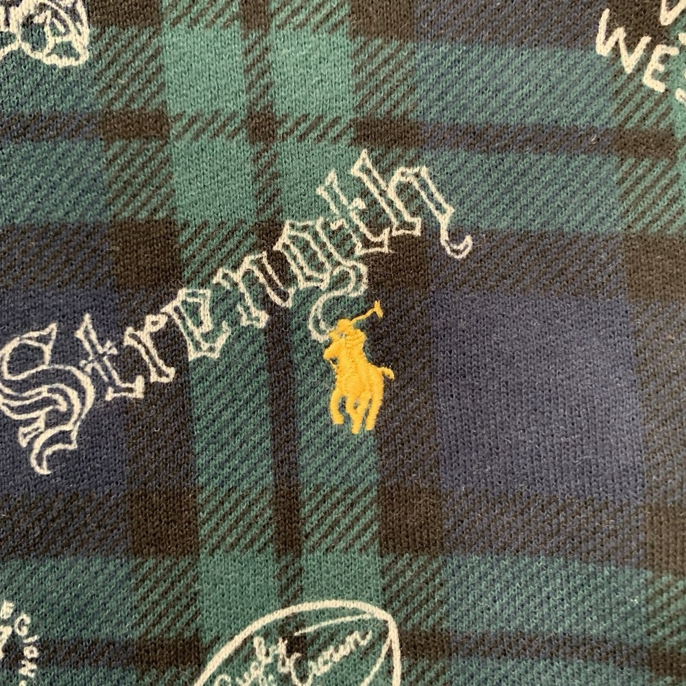 Polo Ralph Lauren Boys Navy Plaid Fleece Graphic Hoodie Size 5 NWT 125$ - Picture 5 of 9